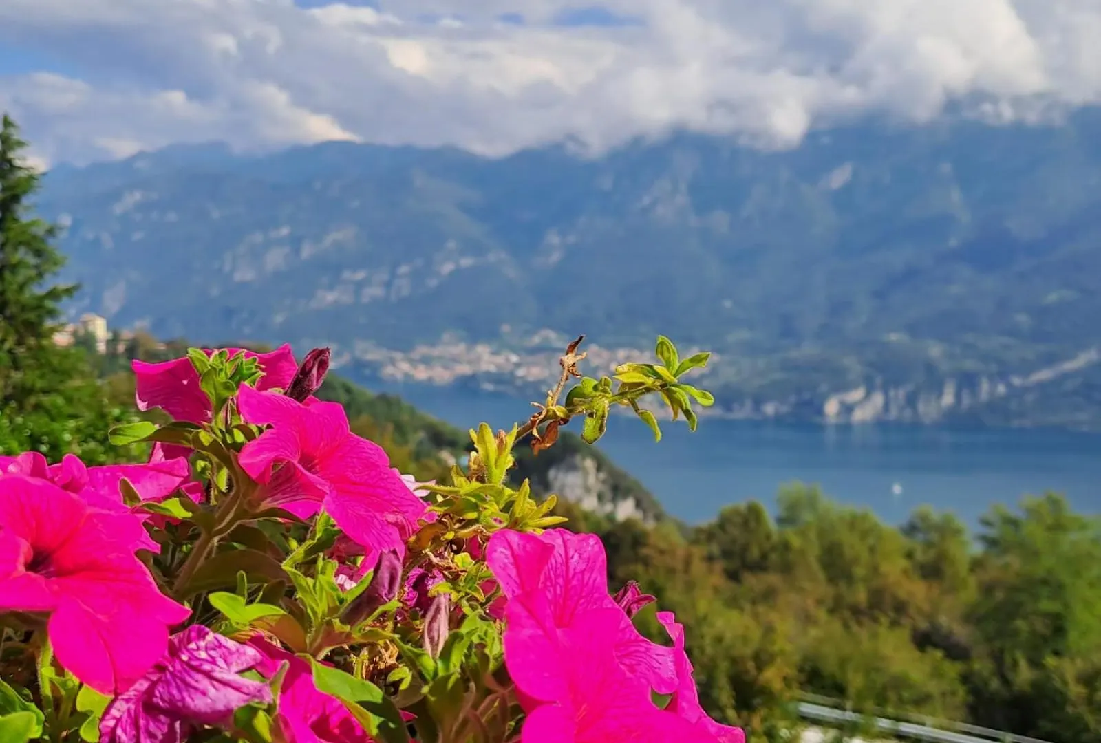Bed & Breakfast Bellagio 0*,
